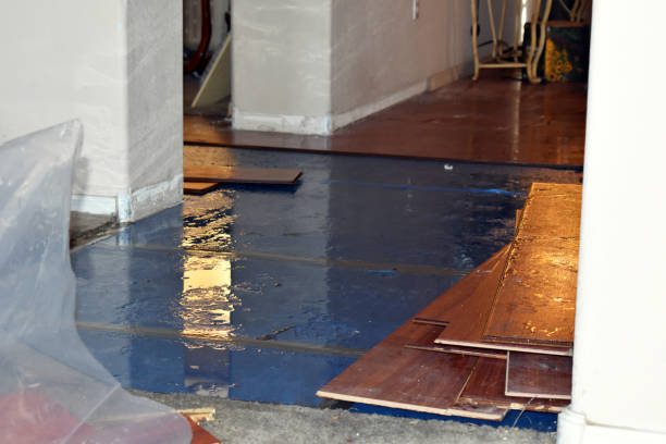 Professional Basement Flood Cleanup technician working in Oregon, WI